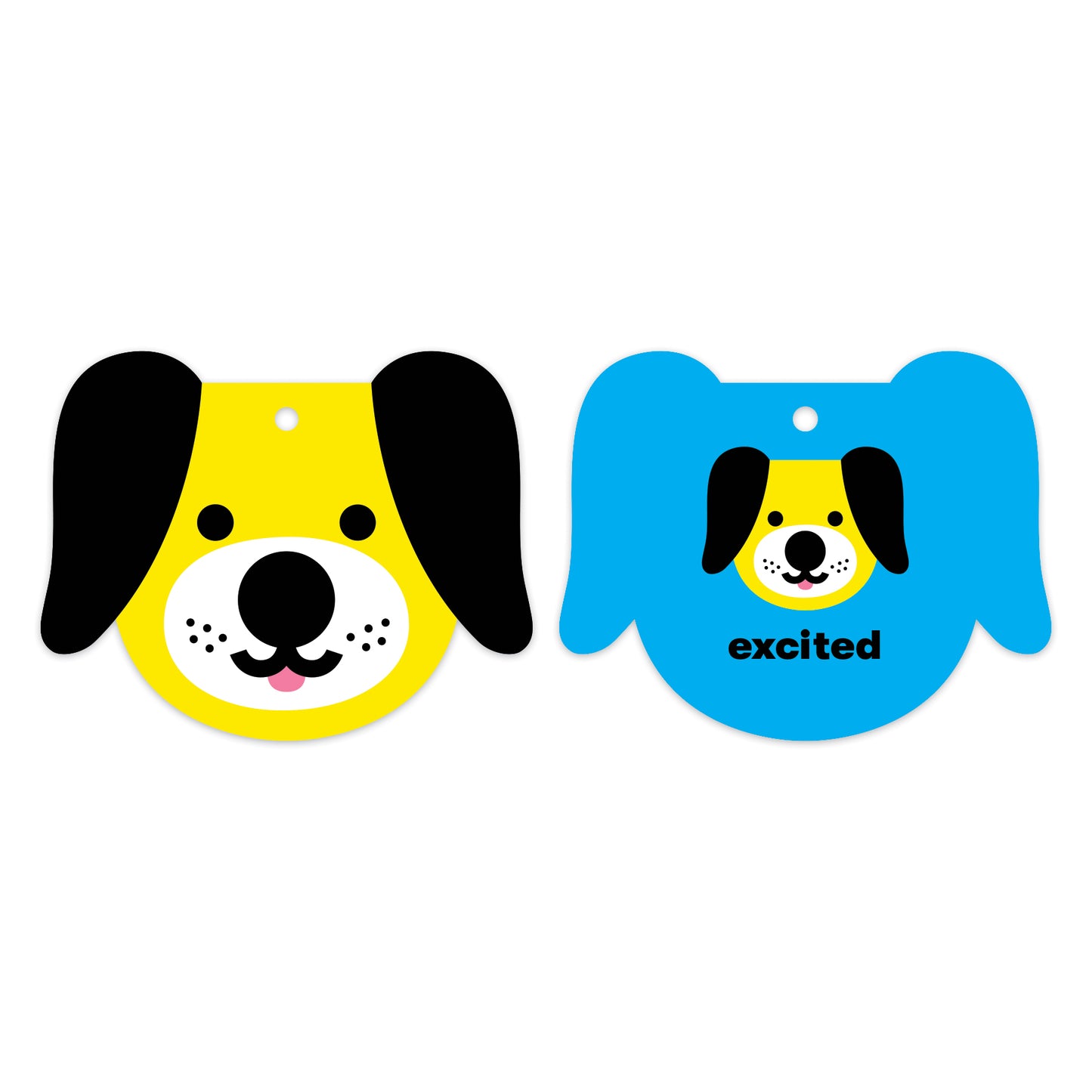 How Are You Feeling? Shaped Ring Flash Cards by Mudppuppy
