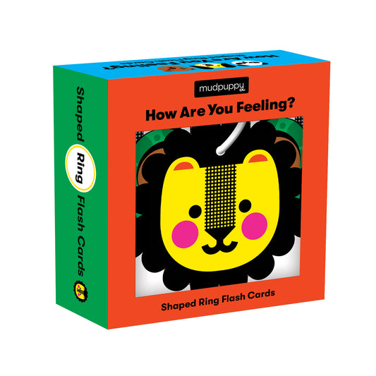 How Are You Feeling? Shaped Ring Flash Cards by Mudppupy